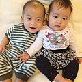 twins 6 month 4 054