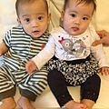 twins 6 month 5 055