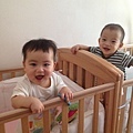 Twins 9 month 1 075