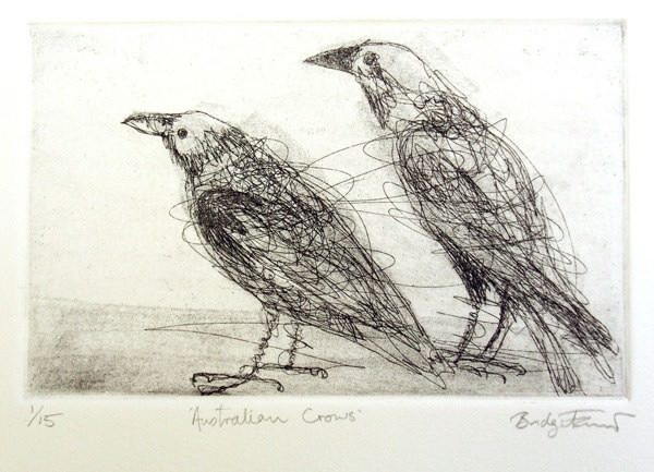 australian-crows-big.jpg