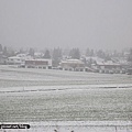 IMG_5004.JPG
