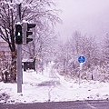 IMG_5333.JPG