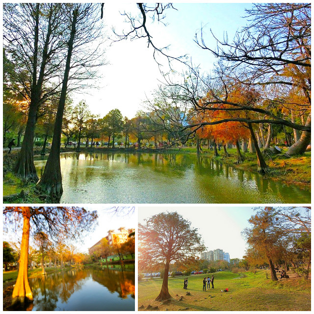FotorCreated4.jpg FotorCreated4.jpg