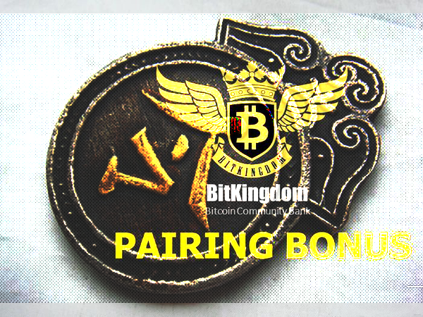 bitkingdom