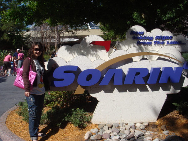 Soarin'