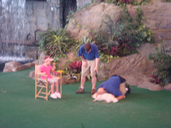 Animal Actors on Location