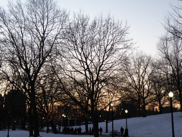 P1040330.JPG