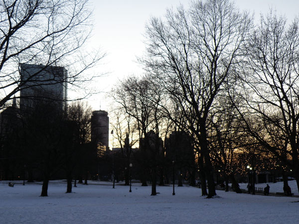 P1040331.JPG