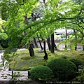 巨國-新格旅遊-日本-鳥取-足立美術館 (21).JPG