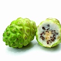 美商Syntec新田諾麗果 Noni Extract.jpg