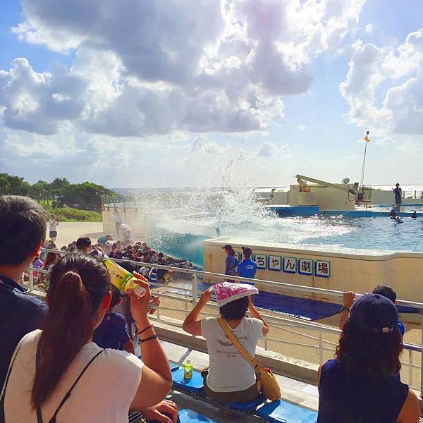 王雄觀察日誌_美麗海水族館