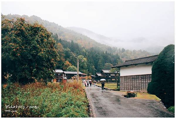 王雄觀察日誌-白川鄉