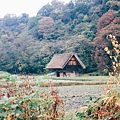 王雄觀察日誌-白川鄉合掌村