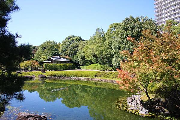 王雄觀察日誌-名古屋-白鳥庭園