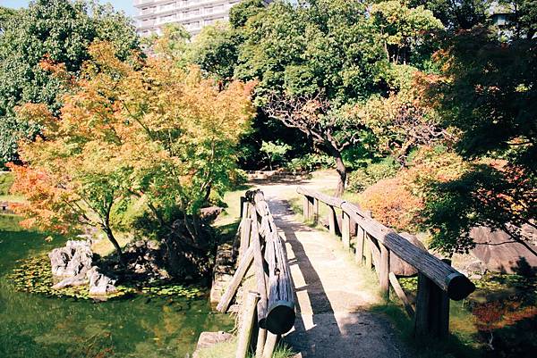 王雄觀察日誌-名古屋-白鳥庭園