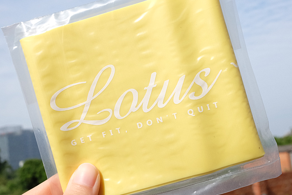 LOTUS FITNESS高強度專業環狀訓練彈力圈