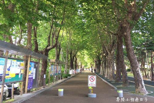 韓國首爾科技大學_交換學生日記