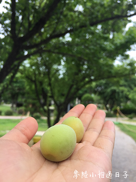 韓國首爾科技大學_交換學生日記