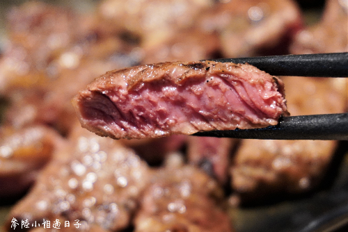 戰醬燒肉燒烤火鍋吃到飽