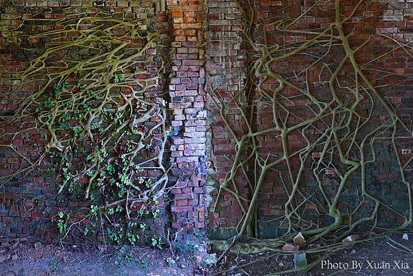 照片 019-1-A-1.jpg 照片 019-1-A-1.jpg