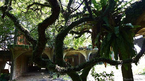 照片 037-W.jpg 照片 037-W.jpg