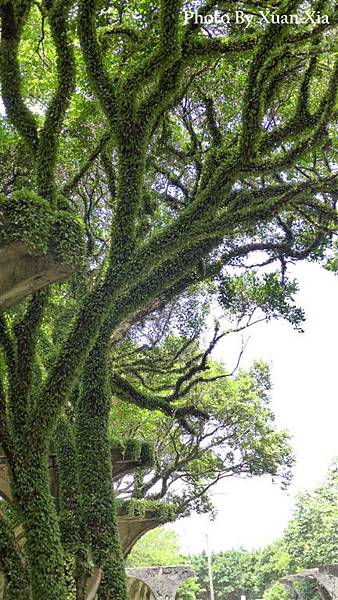 照片 214-W.jpg 照片 214-W.jpg