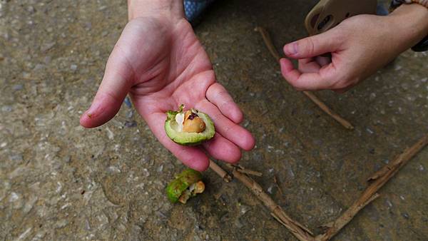 照片 041.jpg 照片 041.jpg