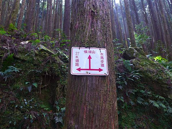照片 048.jpg 照片 048.jpg