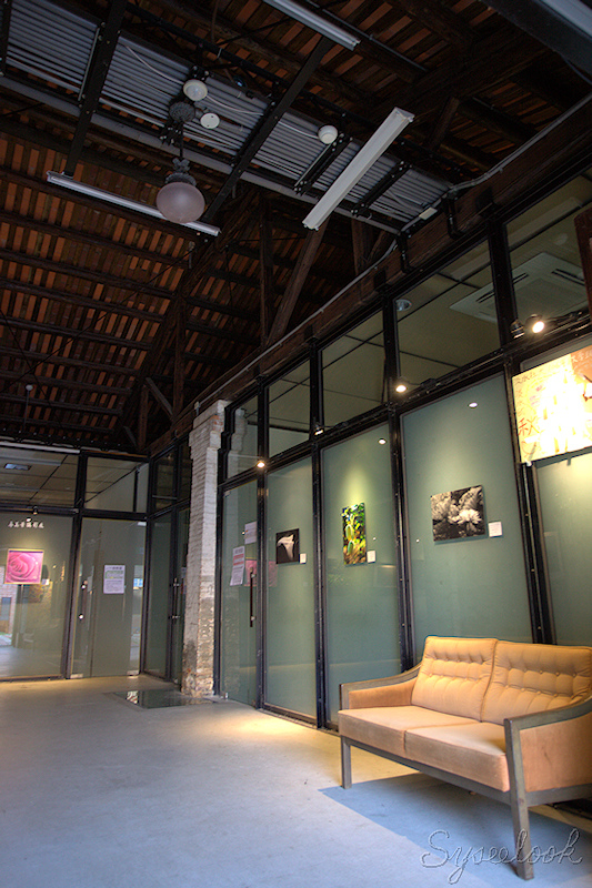 IMG_3134 -1.jpg IMG_3134 -1.jpg