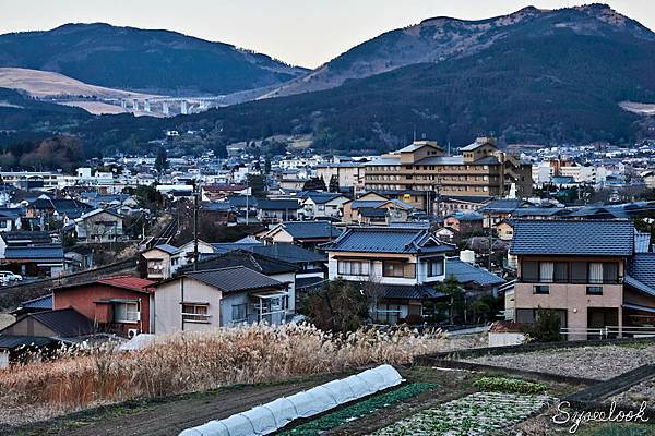 里山茶風-40.jpg