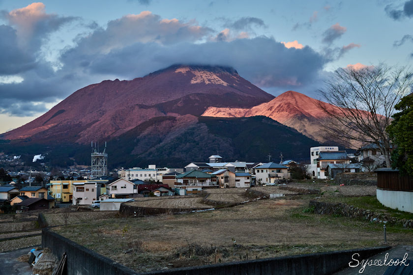 里山茶風-39.jpg 里山茶風-39.jpg