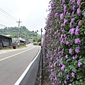 新社百菇莊-11.JPG