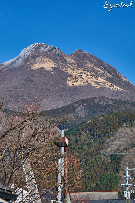 由布院湯の坪-17.jpg