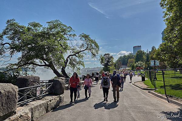 Niagara Falls View-20.jpg