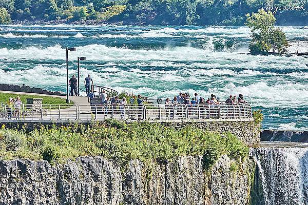 Niagara Falls View-23.jpg