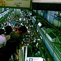 20110705(033).jpg