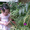 20100504(004).jpg