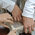 20120126_27橘子旅行團遊宜蘭 (40)OK.JPG