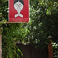 西貢瑜珈坐落在綠意盎然的靜巷裡