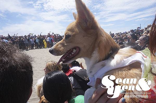 2015NorCalSummerCorgiCon-3