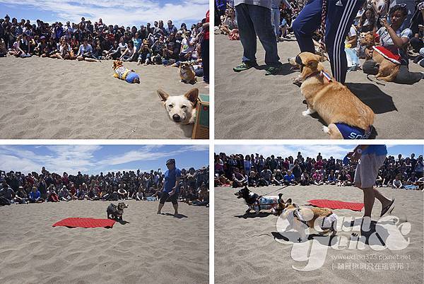 2015NorCalSummerCorgiCon-10