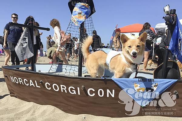 corgicon2016-1.jpg corgicon2016-1.jpg