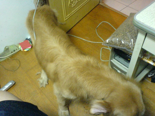 19951026.png 19951026.png
