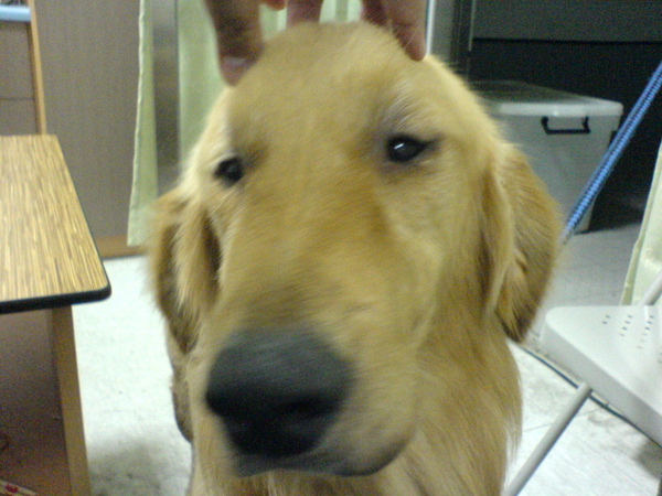 DSC07338.JPG DSC07338.JPG