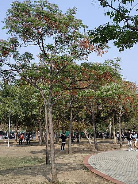 53030503_2569176419791360_8270379464580399104_n_2569176416458027.jpg 53030503_2569176419791360_8270379464580399104_n_2569176416458027.jpg