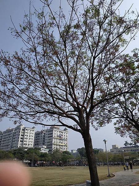 53111000_2569177223124613_5106482215320027136_n_2569177219791280.jpg 53111000_2569177223124613_5106482215320027136_n_2569177219791280.jpg