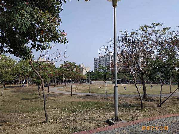 53142853_2569200356455633_7561938898461392896_n_2569200353122300.jpg 53142853_2569200356455633_7561938898461392896_n_2569200353122300.jpg