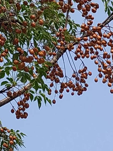 53604790_2569175739791428_1080418045718953984_n_2569175736458095.jpg 53604790_2569175739791428_1080418045718953984_n_2569175736458095.jpg