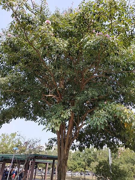 53677060_2569177996457869_710966307536764928_n_2569177993124536.jpg 53677060_2569177996457869_710966307536764928_n_2569177993124536.jpg