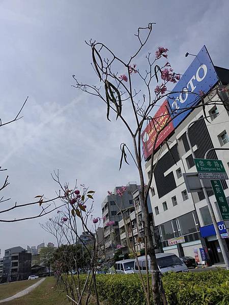 53279045_2569170796458589_4059750019010396160_n_2569170789791923.jpg 53279045_2569170796458589_4059750019010396160_n_2569170789791923.jpg